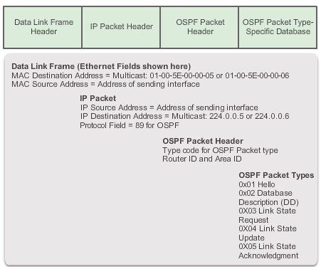 OSPF header