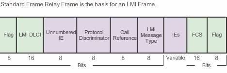 LMI frame format