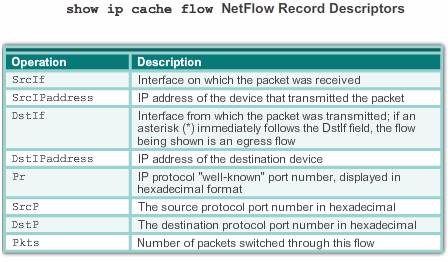 Netflow_record_descriptors